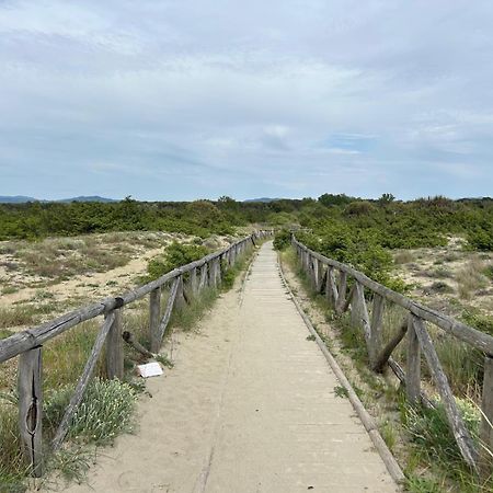 Il Mio Piccolo Angolo Di Mare Виареджо Екстериор снимка